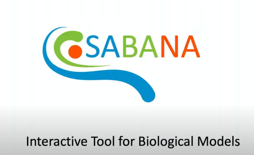 Herramienta interactiva para modelos biológicos