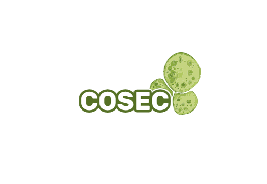 Biogenic CO2 capture into sustainable energy carriers – A novel photosynthetic and hydrogenotrophic CO2 fixation combined with waste nutrient upcycling for production of carbon negative energy carriers (COSEC)