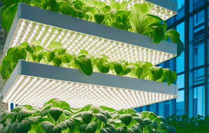 Optimización del crecimiento de cultivos en contenedores Agrikubic en base a criterios económicos y de eficiencia en el uso de recursos (Optikubic)