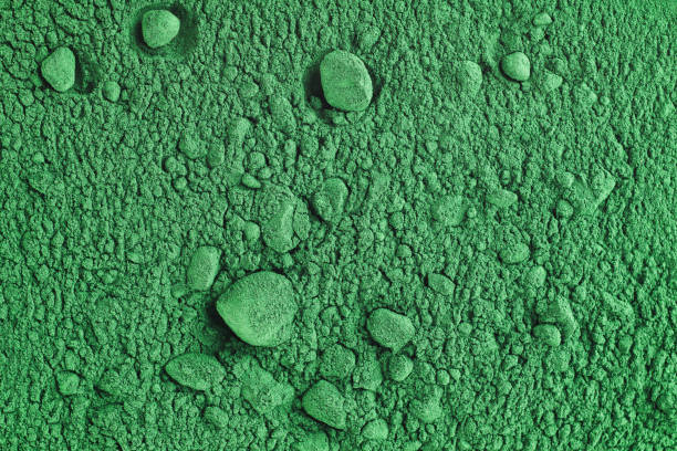 Improvement of large scale production capacity of Spirulina platensis in open systems.