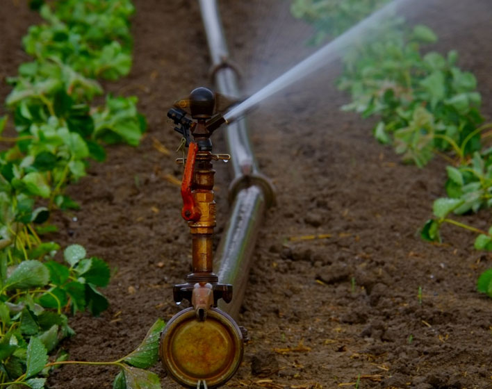 Reutilización de agua regenerada en cultivos reales de agricultura intensiva: evaluación de la transmisión de antibióticos, bacterias y genes resistentes en el nexo agua-suelo-planta (ANBAGENS)