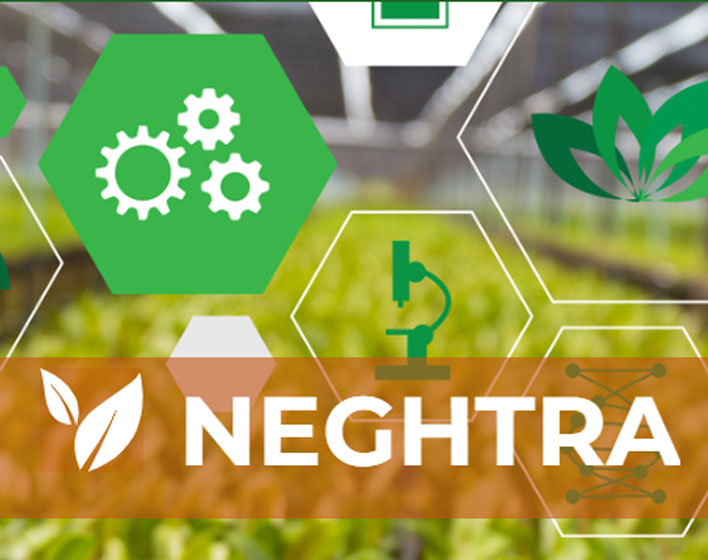 Next Generation Training on Intelligent Greenhouses NEGHTRA