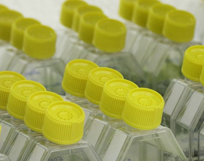 Optimizacion del Tratamiento de Purines con Microalgas en Fotobioreactores Cerrados para la Produccion de Biofertilizantes (PURASOL)