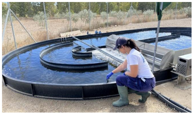 Plataforma de Investigación en Tecnologías de Regeneración de Agua
