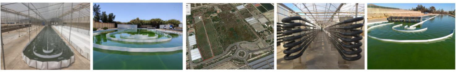 Fotobiorreactores y raceways de la Plataforma SABANA